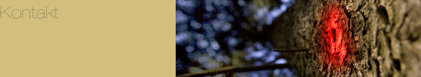 Kontakt