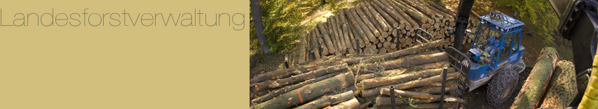 ReferenzLandesforstverwaltung